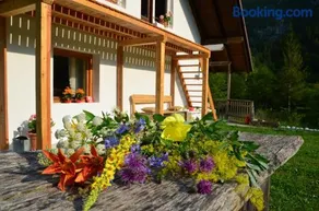 Bovec Home At Three Samoyeds - Image 1