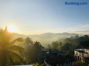 Araliya Enchanted Evergreen - Image 2