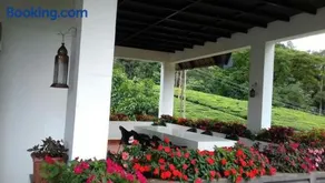 Gruenberg Tea Plantation Haus - Image 3