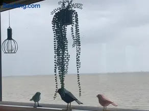 Traumlage Nr 58 Traumblick direkt am Wattenmeer erste Reihe unendliche Weite, eingebettet in der Natur - Image 1