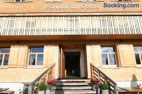 Edelweiß am Öberle - Image 3