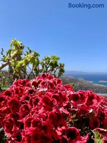 Morea Bay View - Image 2