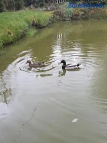 AMRAI Namiņš - Image 2