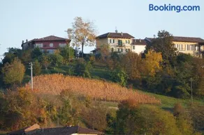 Il Grillo Parlante - Image 2