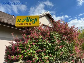 Noclegi u Alicji - Image 2