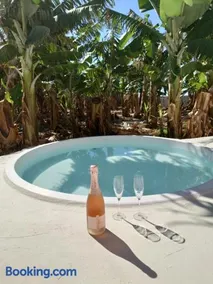 Finca Don Victor - Image 3