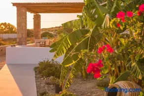 Milis Houses - Image 3