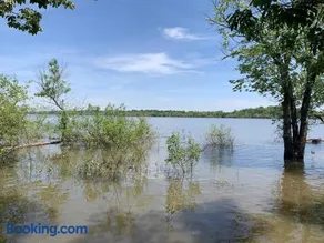 Cozy Cottage • King Bed • Grove • Kayaks • Boat Parking - Image 4