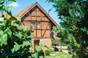 Bauernhof Lisa Offenstall und Taubenschlag - Image 2