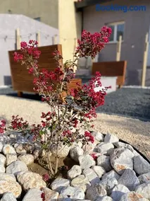 Can FRANCES - Maison avec jardin et terrasse proche mer - linge de maison inclus - Image 3