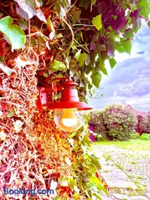 La Ferme des Roses - Image 2