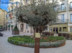 Tiny House 1, 2 ou 3 personnes SoeursGrises Béziers Centre Historique coeur de l'Hérault Occitanie, plus vieille ville de France, chemin de Compostelle à pied ou velo, passeport du pèlerin 24h, petits dejeuners et repas, 300m du centre ville - Image 2