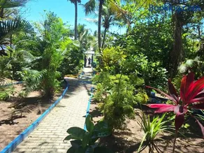casa ilha de caribê - Image 2