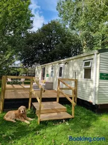 The Duck - Free Fishing, pets welcome - static caravan in Clare, Suffolk - Image 2