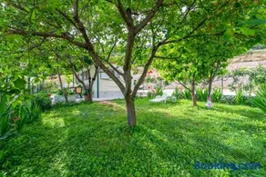 Holiday Home Garden - Image 2
