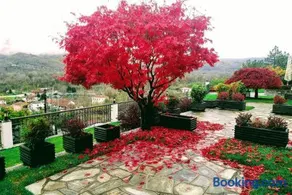 Philoxenia Hotel - Image 1