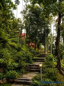 Banasura Wetlands Wayanad Boutique Pool Resort Near Waterfalls - Image 2
