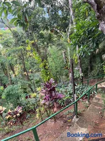 Chales Amanhecer e Entardecer em Meio a Natureza - Image 1