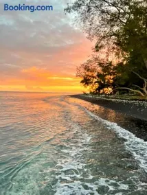 TAHITI - Mango Lodge Hotu - Image 2