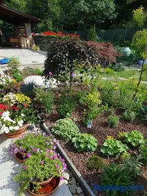 Nel giardino di Dafne - Image 2