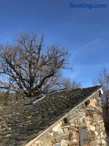 Insolite bergerie dans la forêt - Image 4