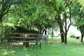 Casa da Breia - Image 4