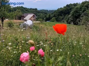 Glamping - Hayrack Vesel - Image 5