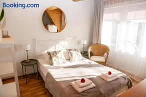 Mėlynojo karpio namas - Image 3