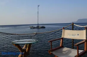 U Catoiu - Image 1
