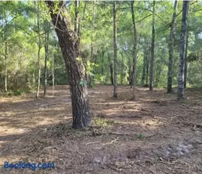 Fanning and Manatee Springs Exclusive Primitive Campground - Image 1