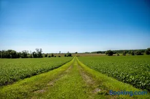 Luxury farm Stay, Alexandria - Image 4