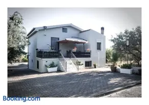 Ficodindia home - Image 1
