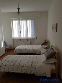 Olivia - Image 3