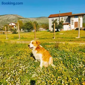 B&B La Coccinella - Image 2