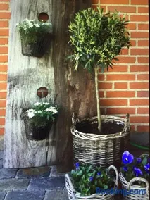 Anita's B & B - Image 4