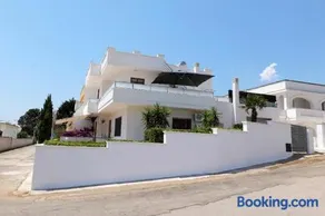 cmv Salento - Image 2