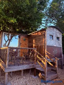 The Cosy Nest Hut - Image 1