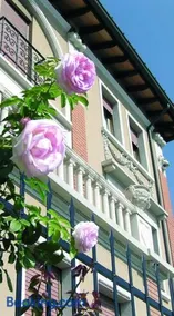 -Casa Angela - - Image 1