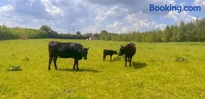 Animal Farm and Forest - Image 4