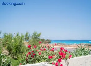 Cavall de Llevant - Formentera Break - Image 1