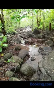 Paradise Farm Alibaug - Image 2