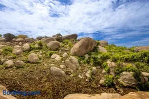 Orido Camp - Image 2
