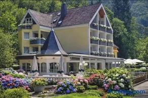 Hotel Schwanenweiher Bad Bertrich - Image 1
