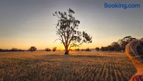 Victorian Farm stay Springbank - Image 3
