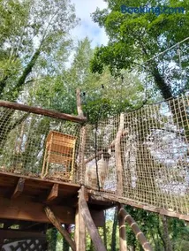 tente toit transparent bois proche animaux - Image 2