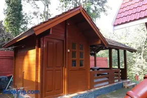wood treat - Image 4