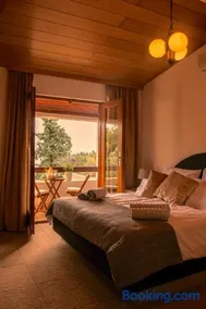 Shambala - Image 4