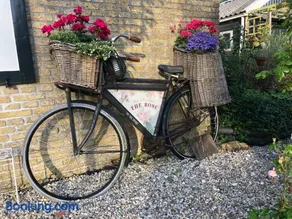 The Rose - Image 1