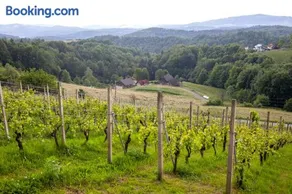 Domačija Vesel - Image 2