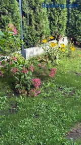 2 Tyskie Apartamenty z prywatnym ogródkiem - Image 2